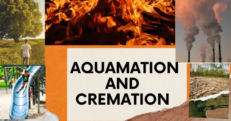 Aquamation and Cremation