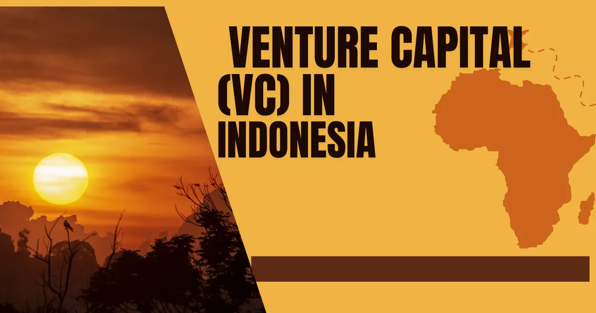 Venture Capital (VC) in Indonesia : Opportunities and Insights